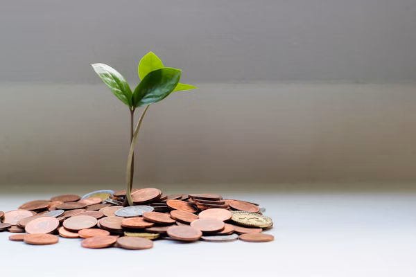 Savings and Investment Education